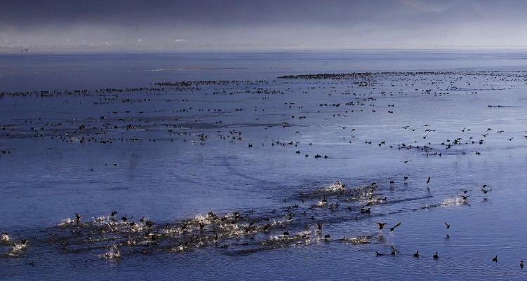 云南丽江哪个景点最美,云南16个最值得去的景点