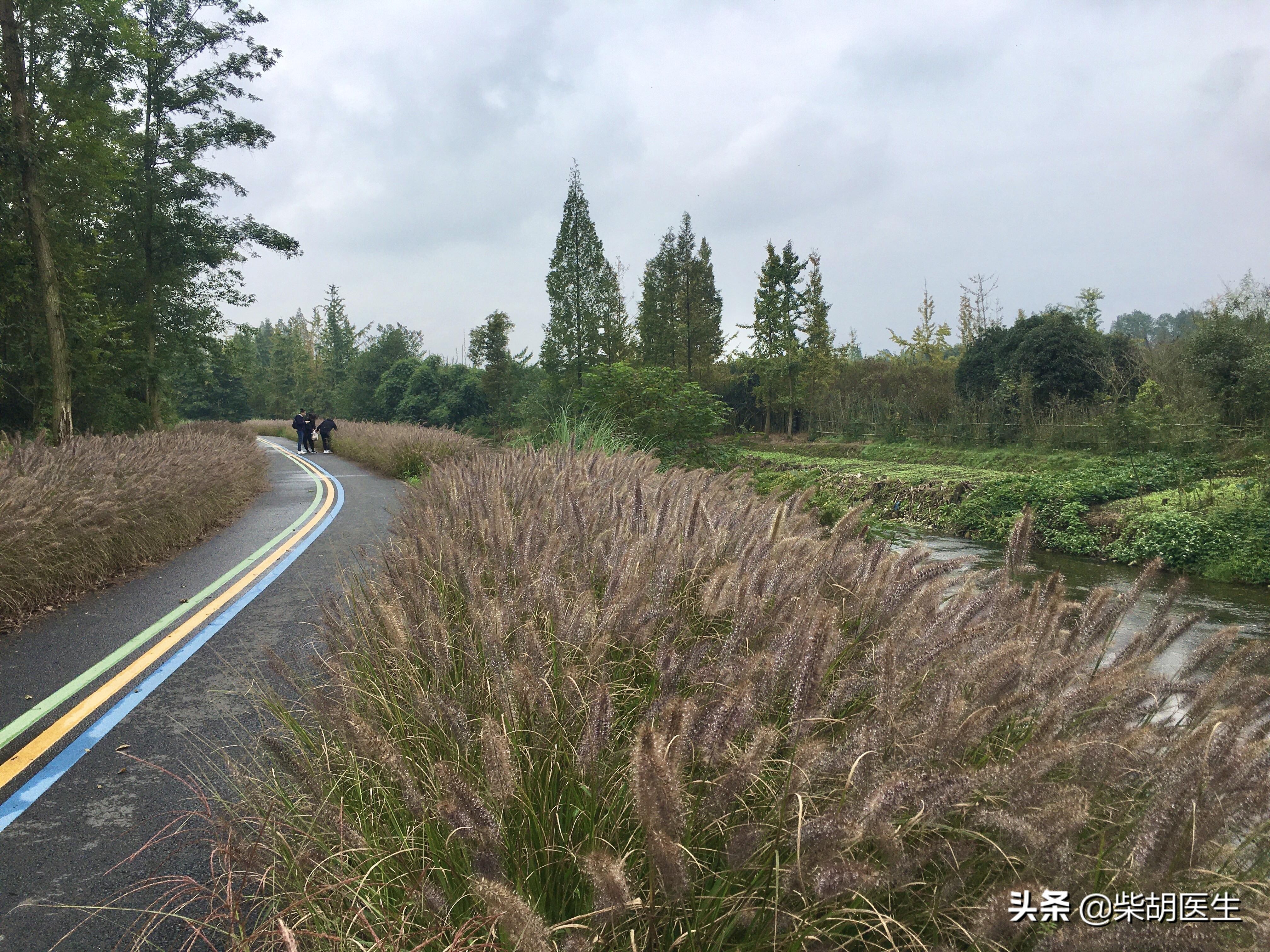 国医大师治尿频尿急,国医大师治前列腺尿频尿急