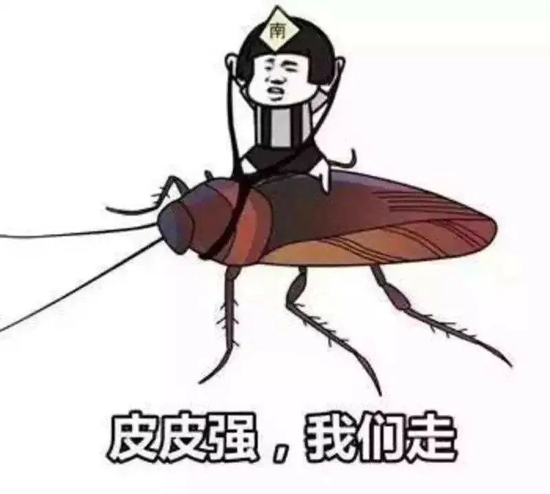 家里的蟑螂怎么彻底消灭,家里的蟑螂怎么才能消灭干净