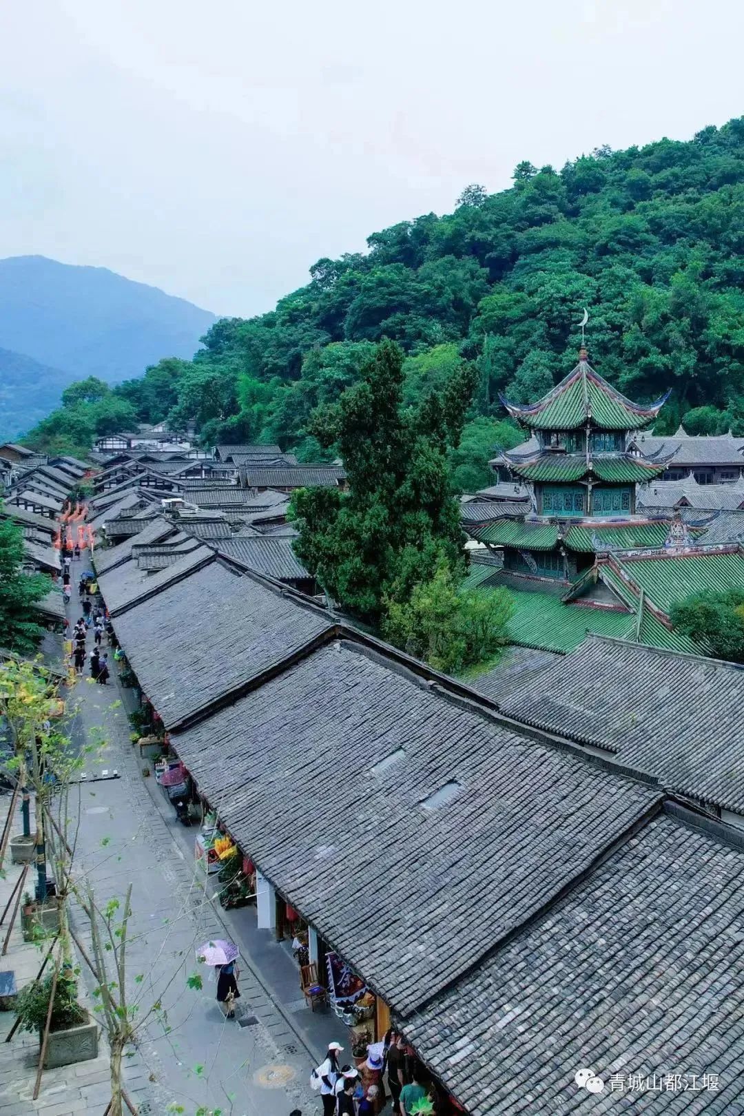 拿走不谢！这份都江堰“懒人版”旅游攻略，不爬山、不扎堆，还能打卡明星同款，赶快行动吧~