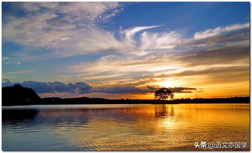 2021全国甲卷语文诗歌阅读答案,2023年全国乙卷语文诗歌阅读