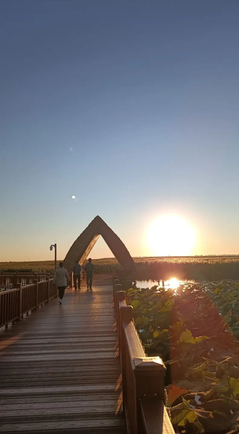 国内最值得入住的4家民宿,民宿必看100个