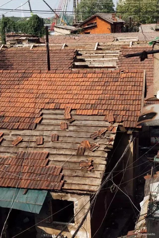 武汉四美塘公园开园了吗,四美塘公园和武昌生态文化长廊