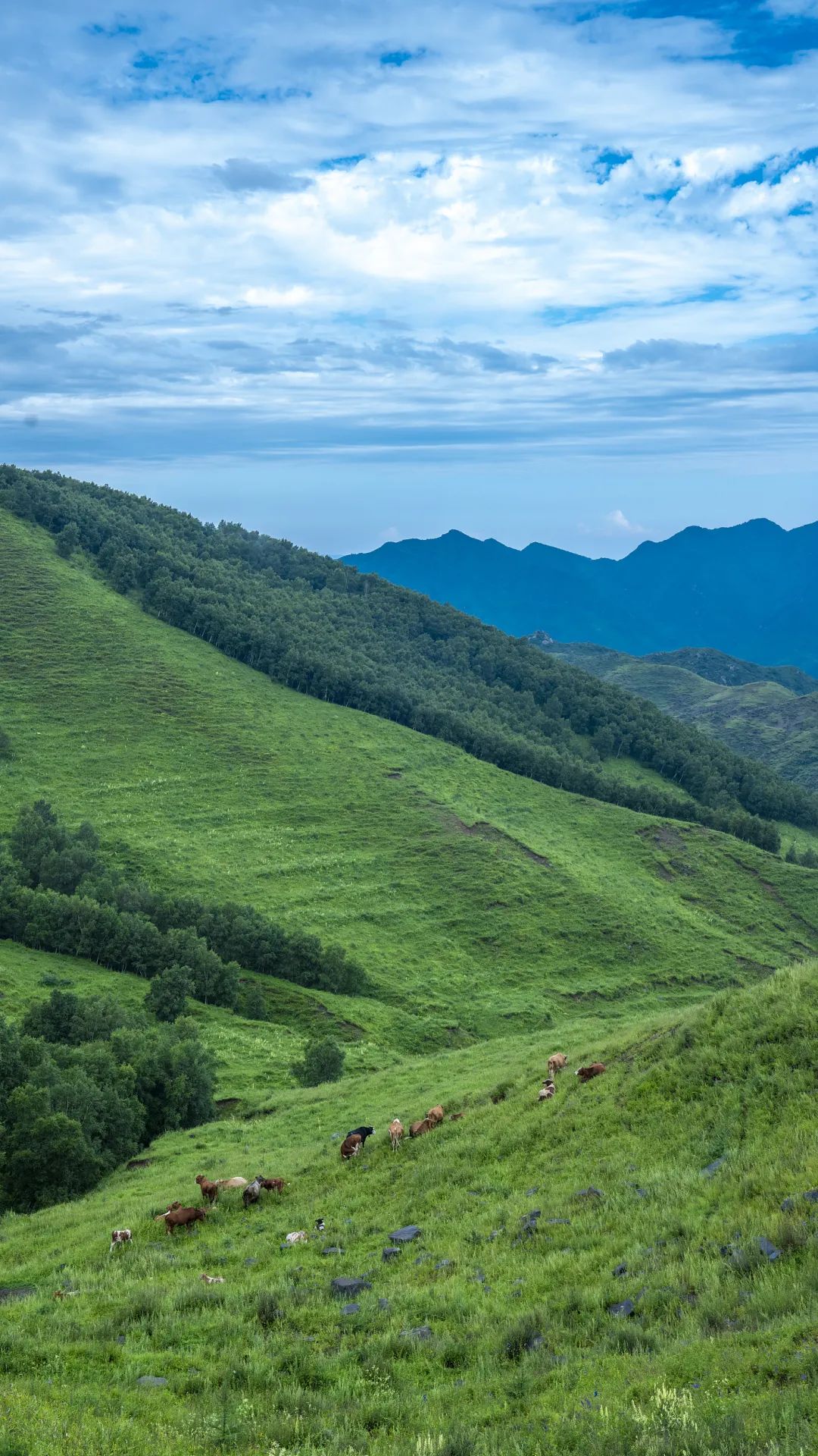 现在的真实北京,很真实的北京现状