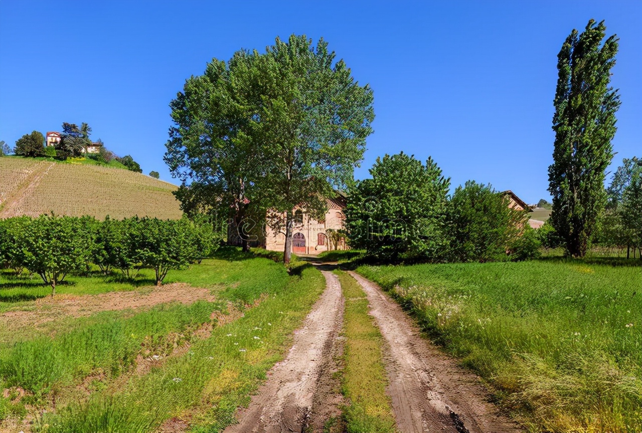 米兰的按摩院（下）