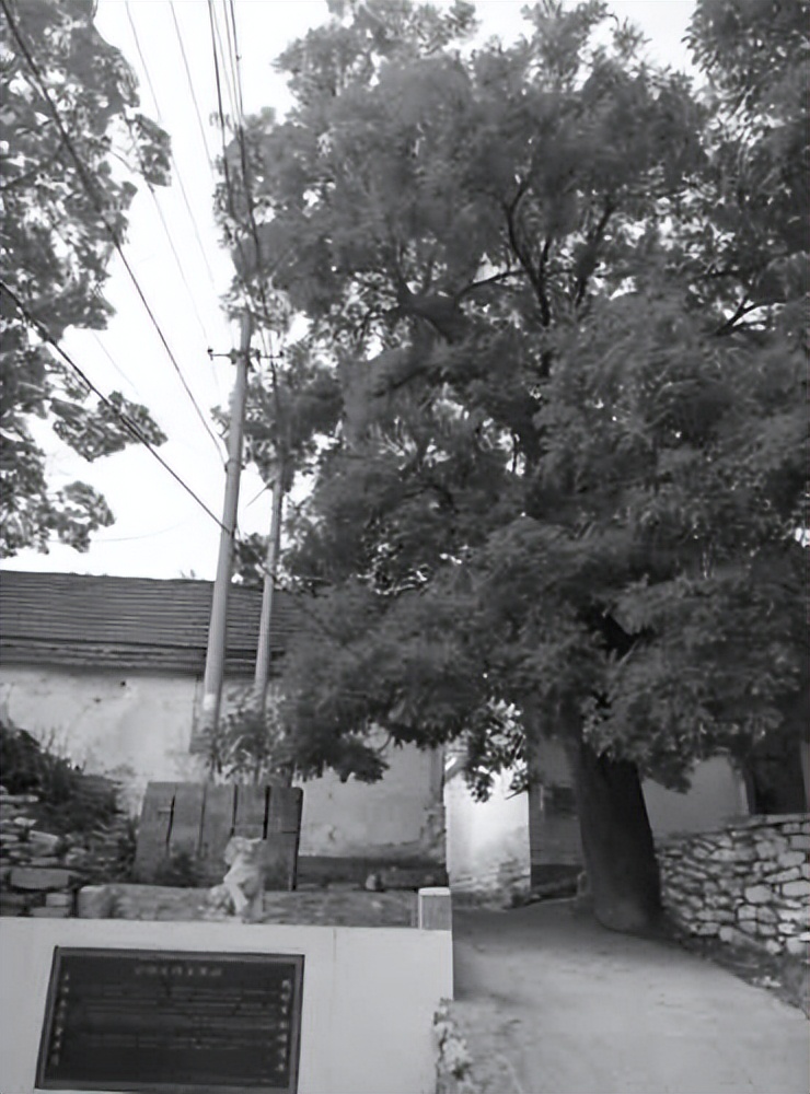 家乡的古槐历经沧桑美文,家乡的古槐树