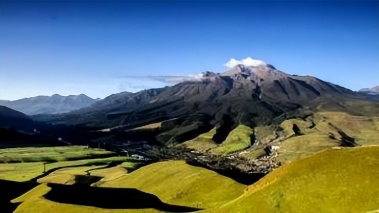 祁连山发现猛兽,祁连山发现的雪豹