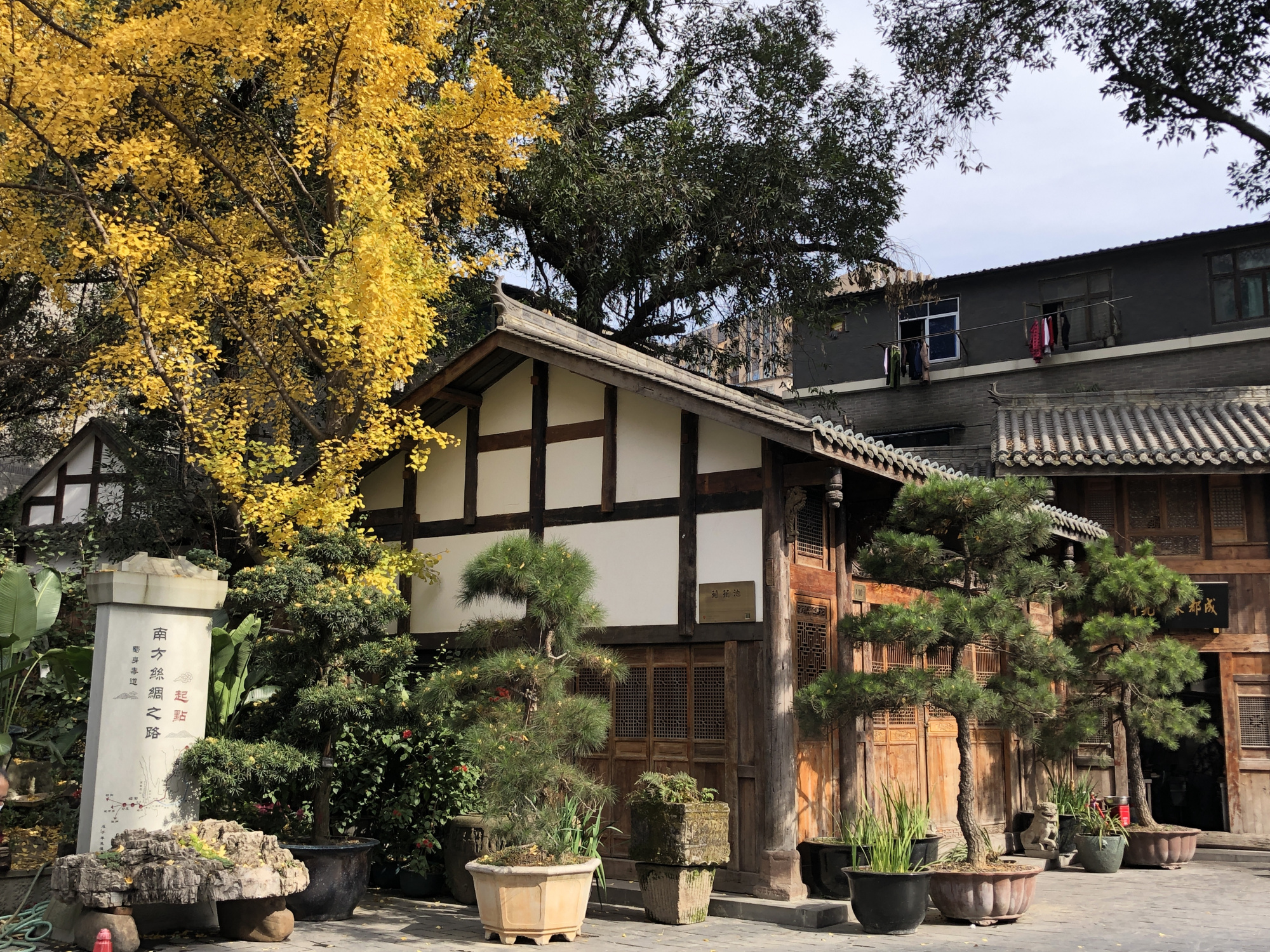 荷花池市场有什么好玩的,荷花池仿古街