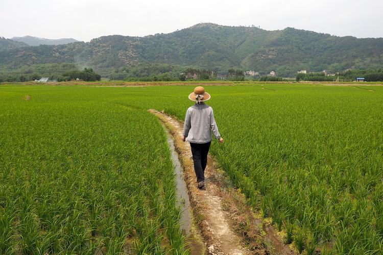 好心奶奶救下蛇20年后,男子救下一条小蛇20年后来报恩