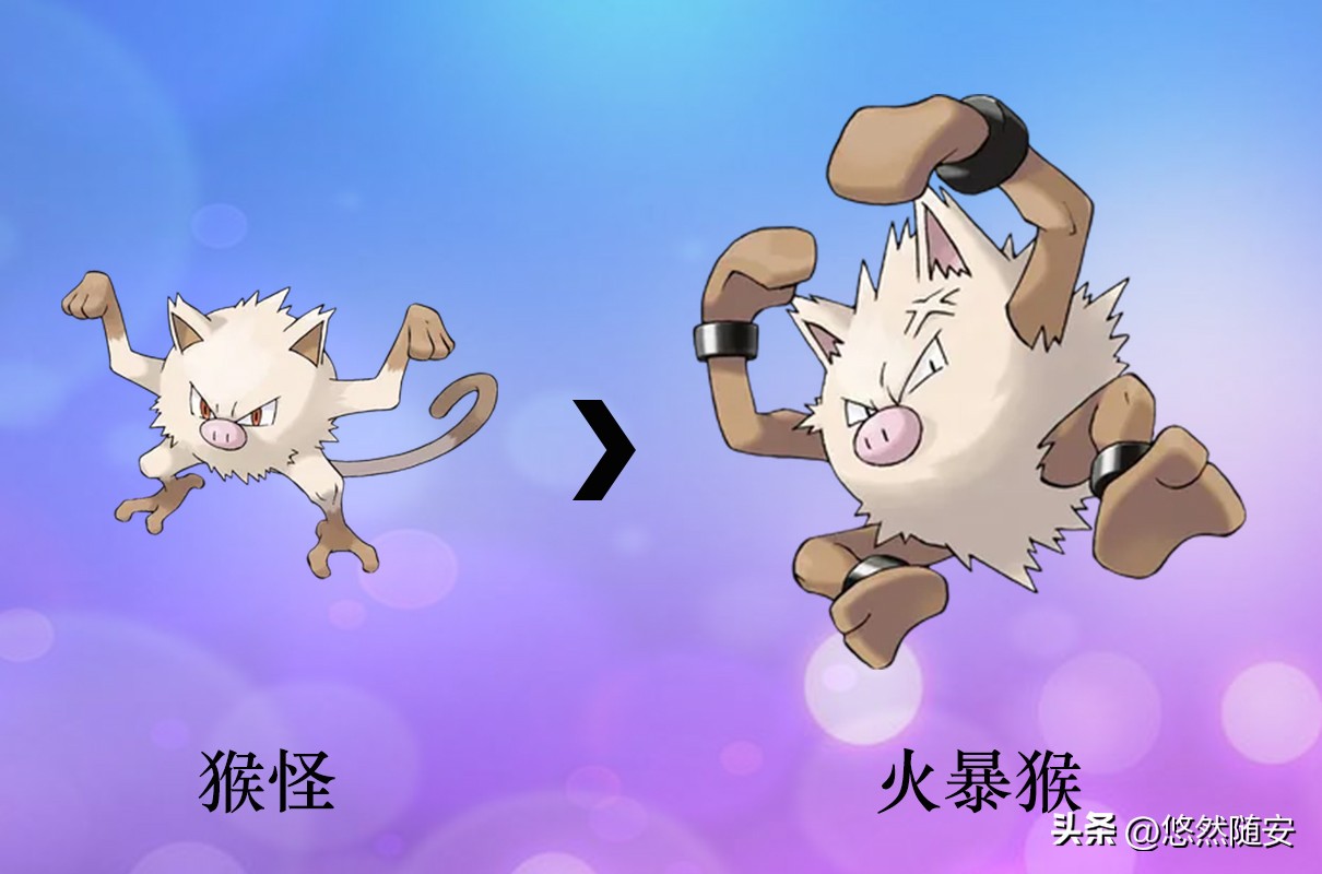 宝可梦所有御三家进化形态,宝可梦小火狐进化形态