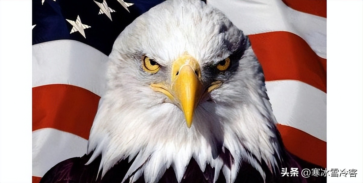 美版知乎上为什么中国话题最多,美版知乎看中国和美国