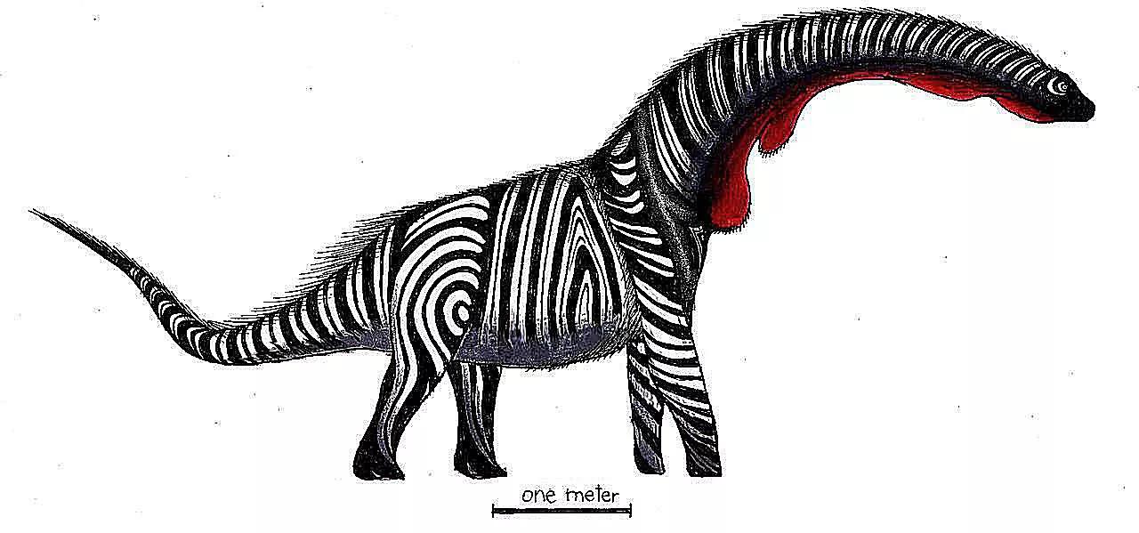 泰坦巨龙图片从哪来的,泰坦巨龙恐龙图片和简介