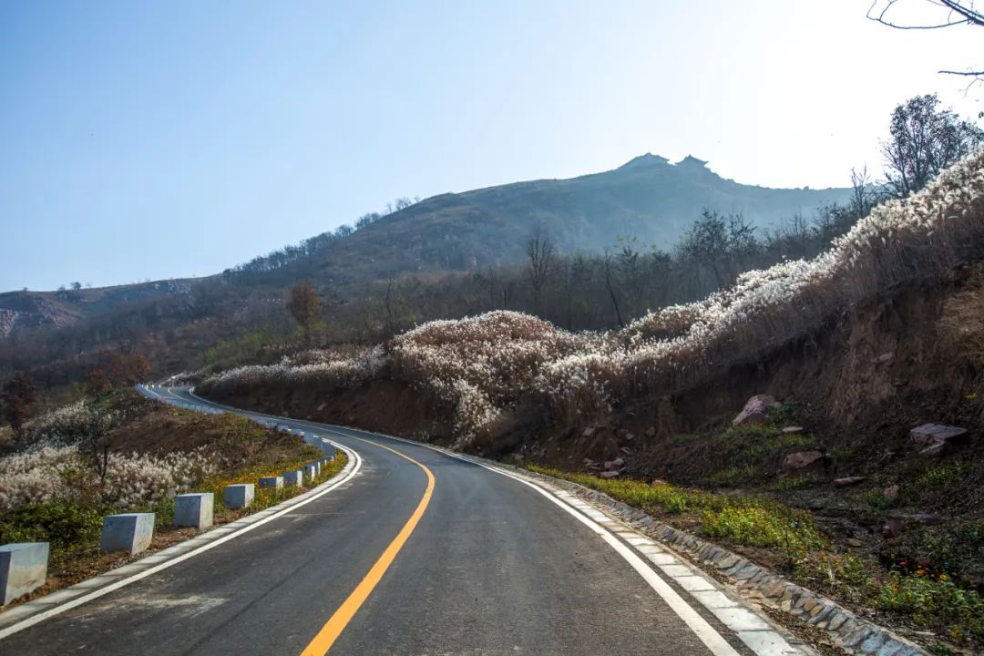 洛阳网红打卡地推荐,洛阳又一个网红打卡地