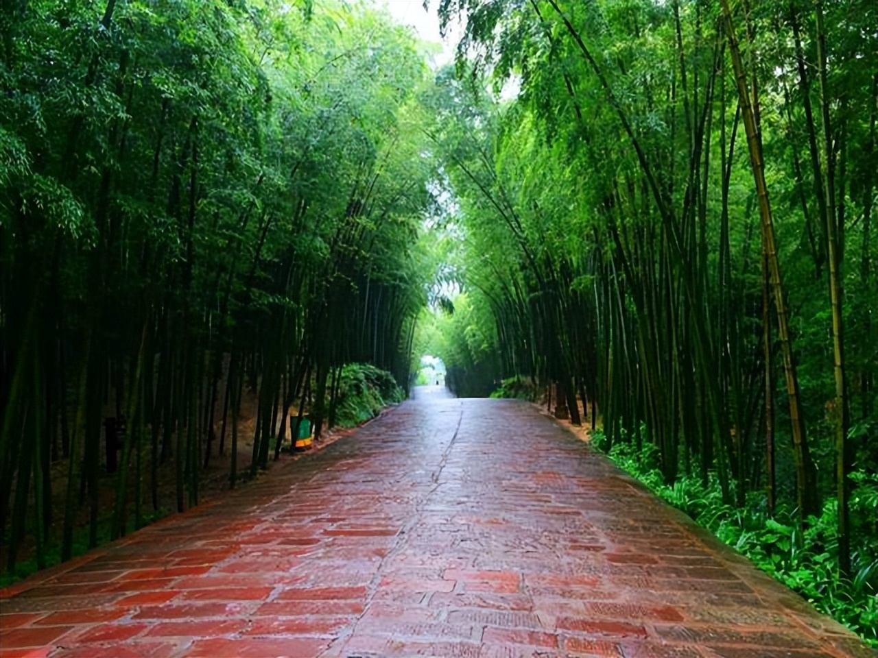卧虎藏龙竹林拍摄地在蜀南竹海吗,卧虎藏龙取景地蜀南竹海吊威亚