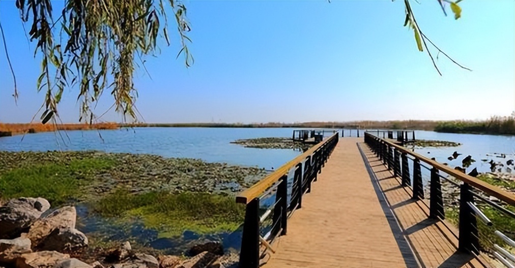 合肥旅游十大必去景区,合肥旅游必去十大景点推荐