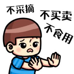 在深山老林捡菌子,夫妻深山捡菌子