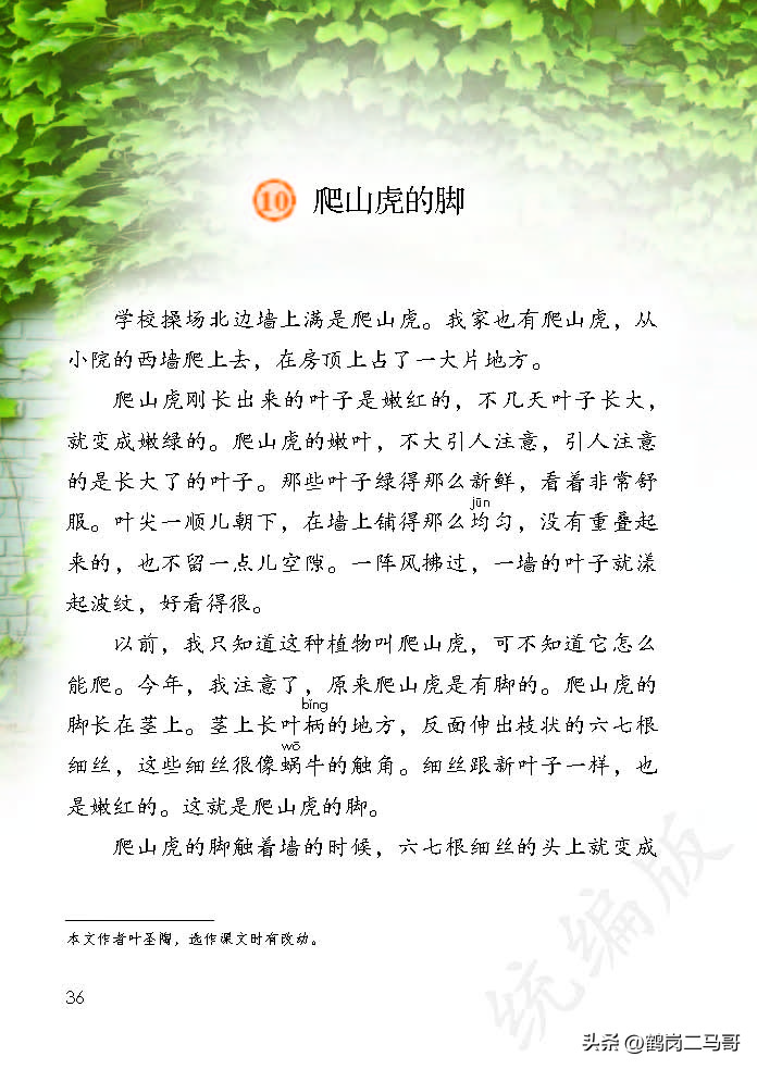 暑假预习资料小学,四年级下册语文课本第17课预习