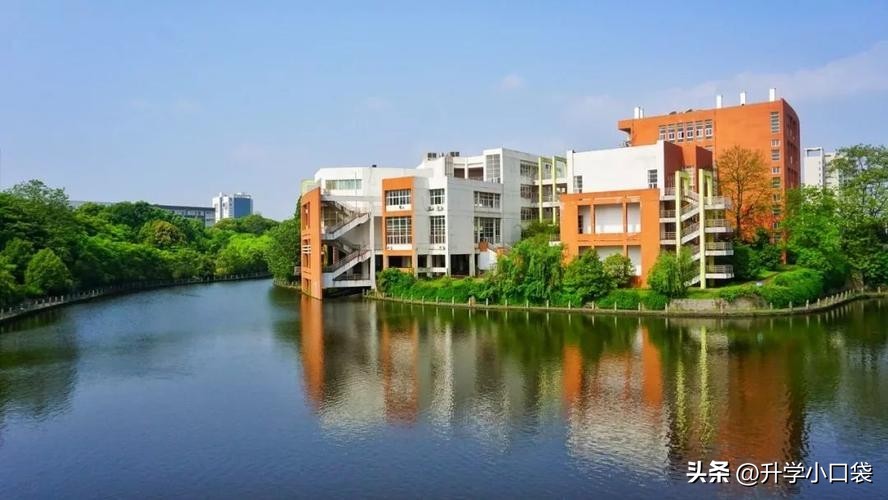 南昌大学往届本科生就业去向，3000人选择升学，1300多人被保研