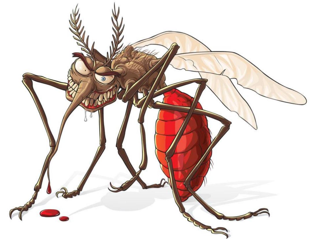 每年杀死人类最多的五种动物,每年杀人最多的六种动物