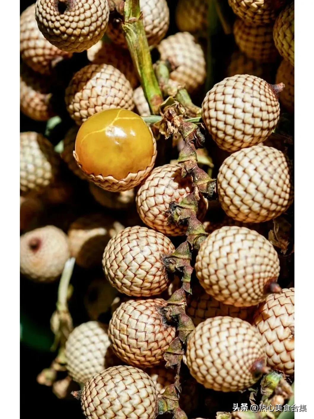 奇葩水果开箱合集,这些奇葩水果你见过吗