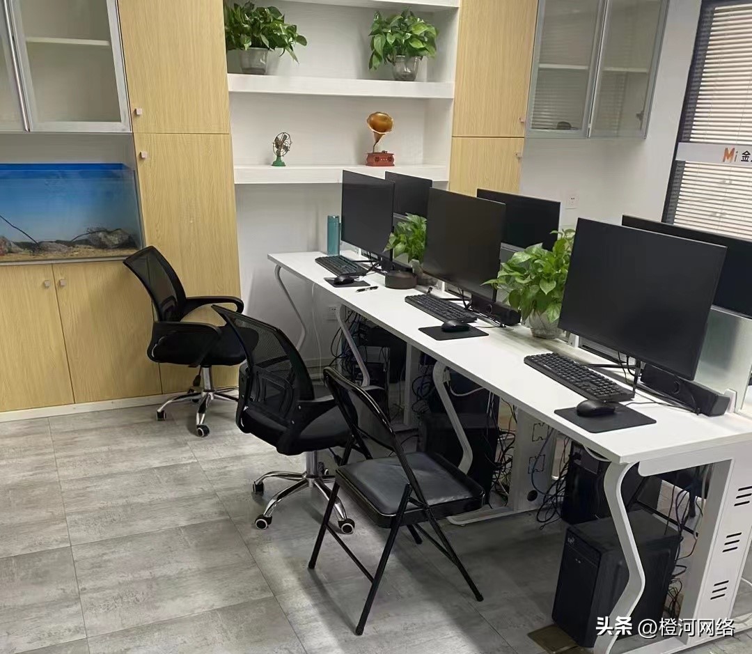 在哪里填问卷调查可以赚钱,国外问卷调查项目赚钱吗