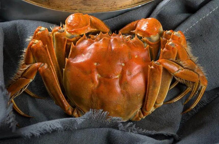 关于吃螃蟹的句子,吃螃蟹的时候你知道自己在吃什么