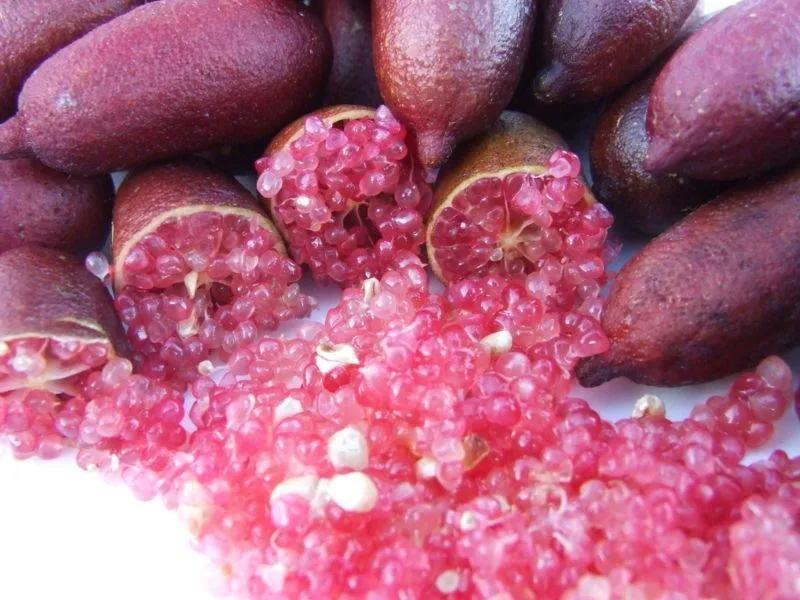 柠檬多少钱一斤最便宜的,广西手指柠檬多少钱