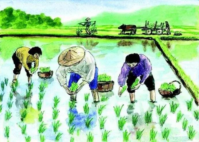 足球的联想,足球世界杯的灵感来源