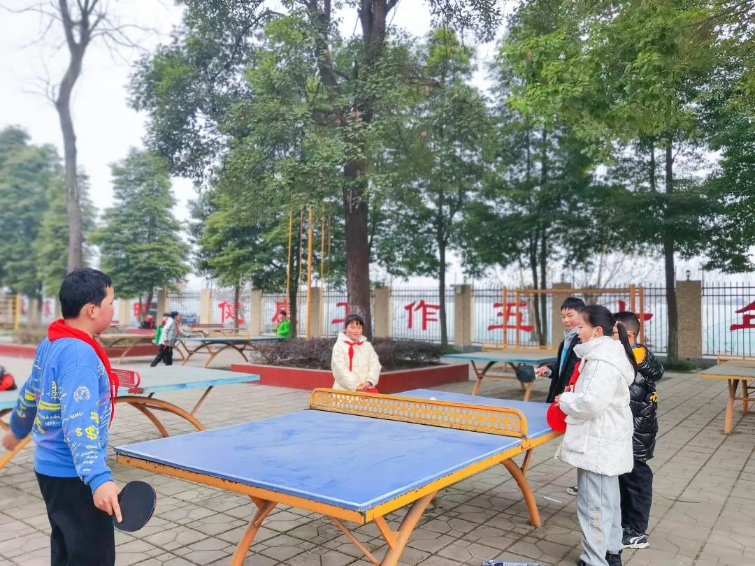 成都市双流区育英小学附近托管班,金桥中心小学被谁托管