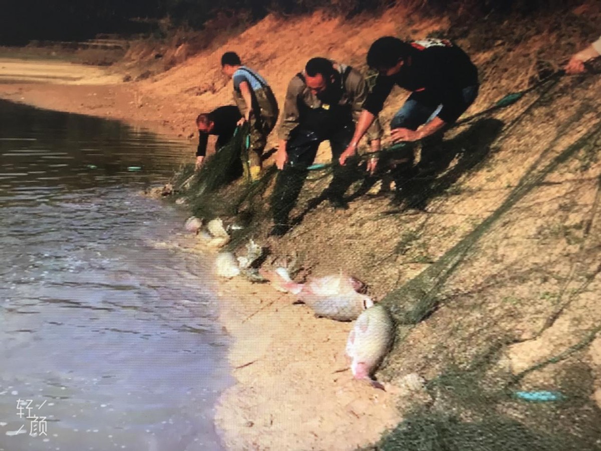 冬日捕鱼现场,冬日捕鱼卢龙县