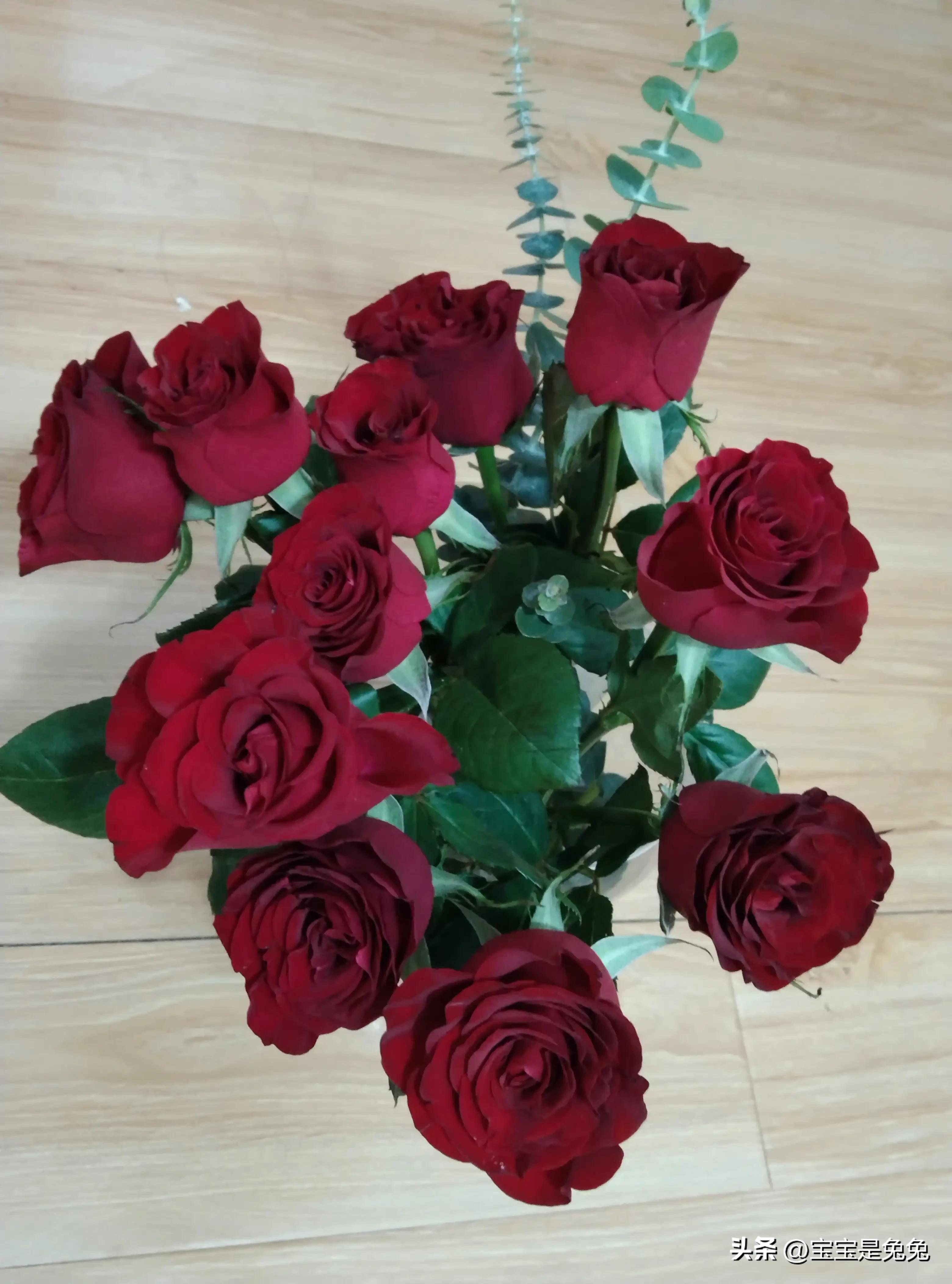 玫瑰花瓣一片片落在眼前是什么歌,玫瑰花瓣怎么晒干保存