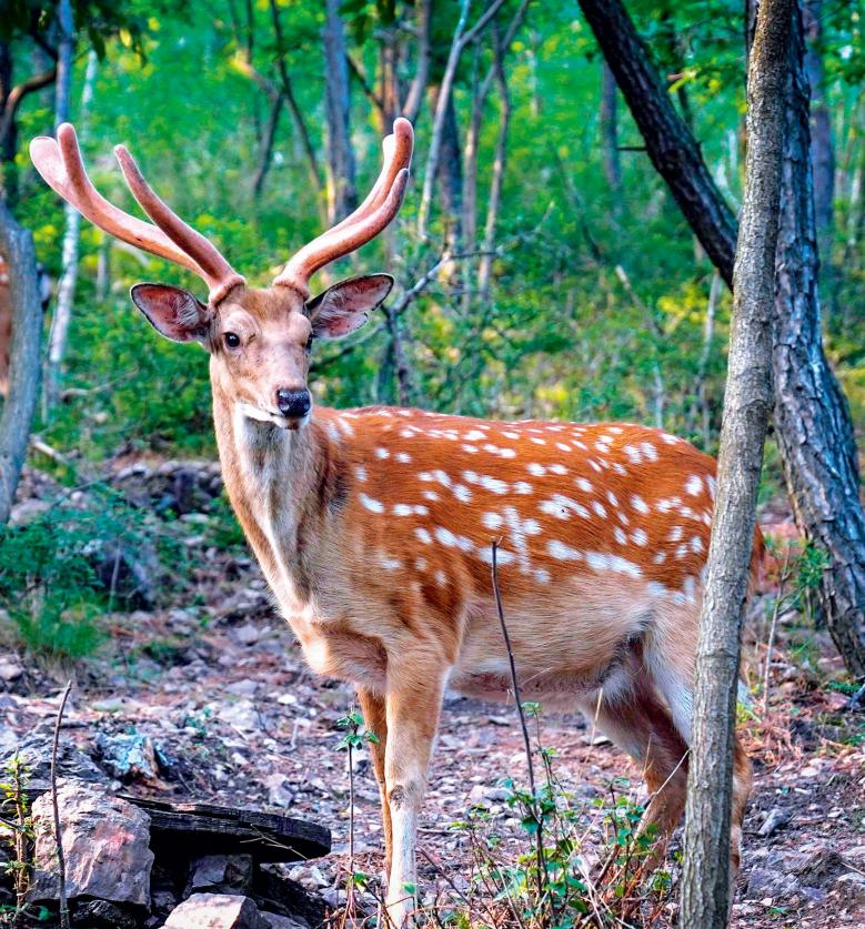 中国最有影响力城市广场,中国最具历史意义的广场