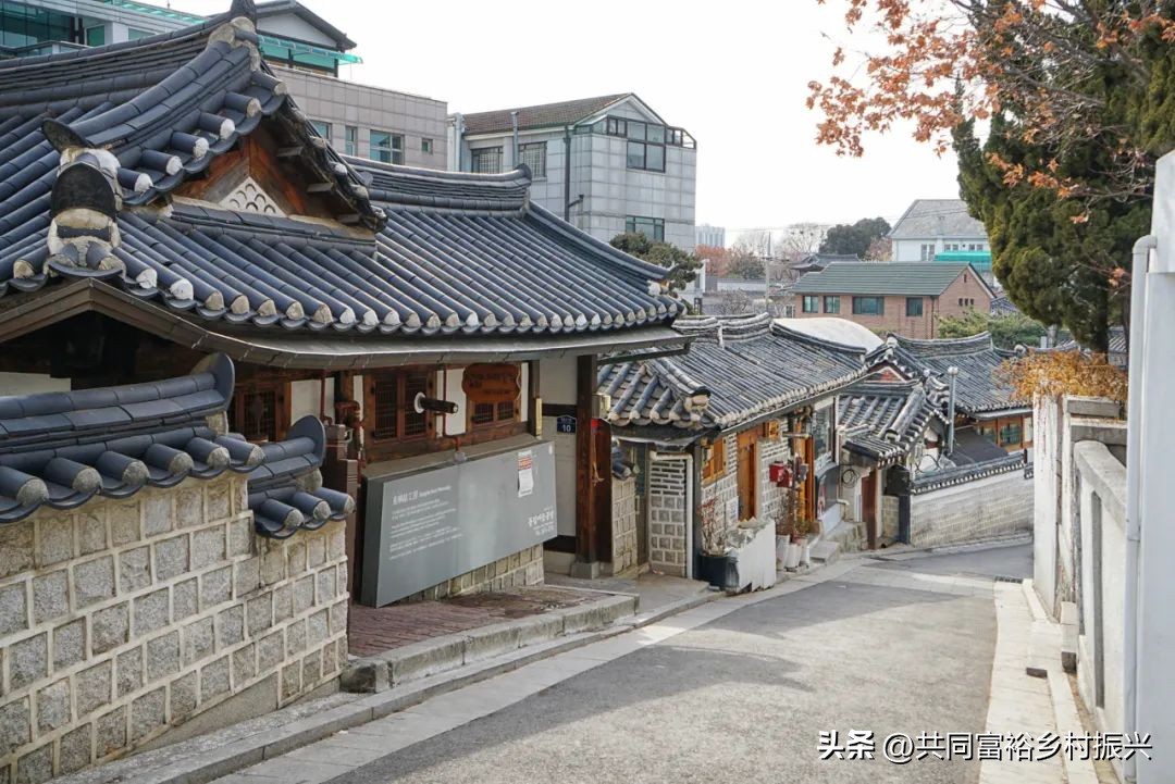 2023年全国乡村振兴优秀案例,乡村振兴典型案例5000字材料