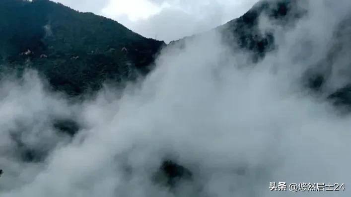 春行万里合集,春行新湖绿城