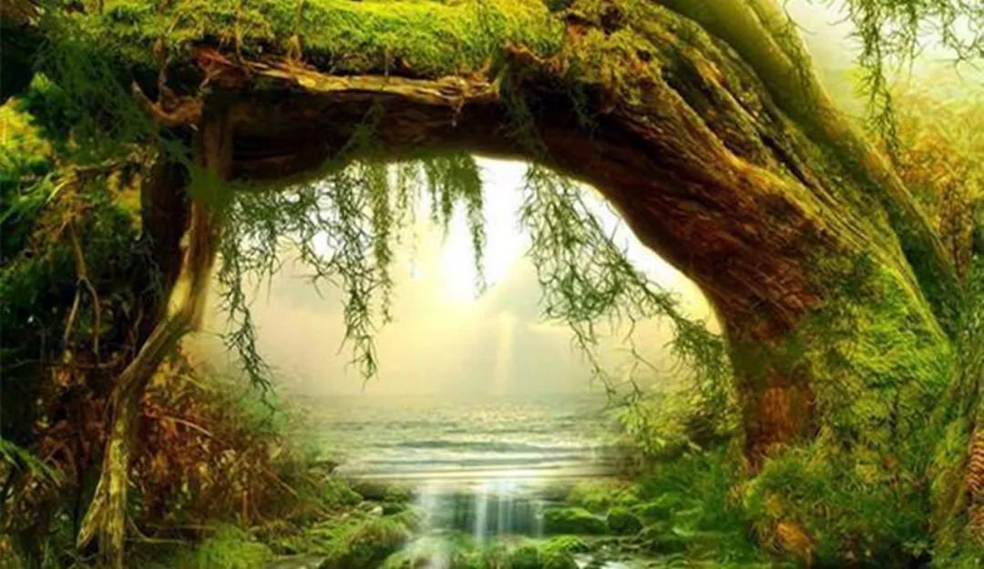 为人处世请尽快改掉你的这些毛病,做人为人处世的忠告