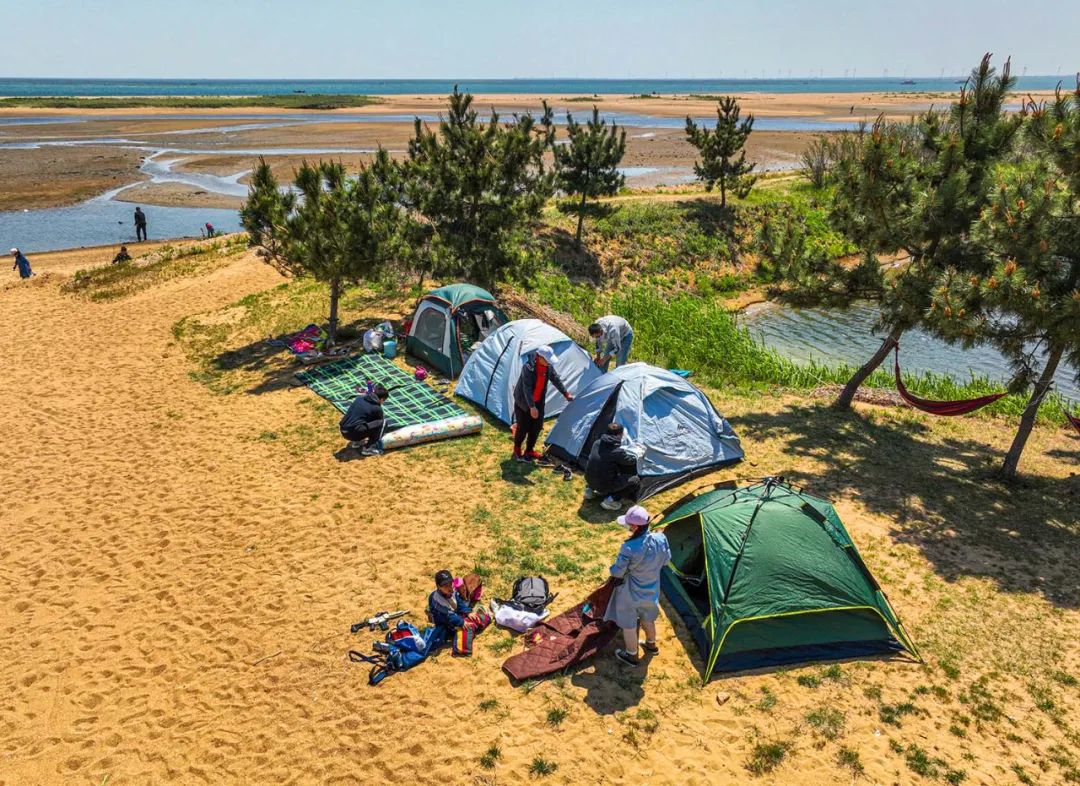 春天的第一场露营怎么策划,春天的第一场露营安排起来