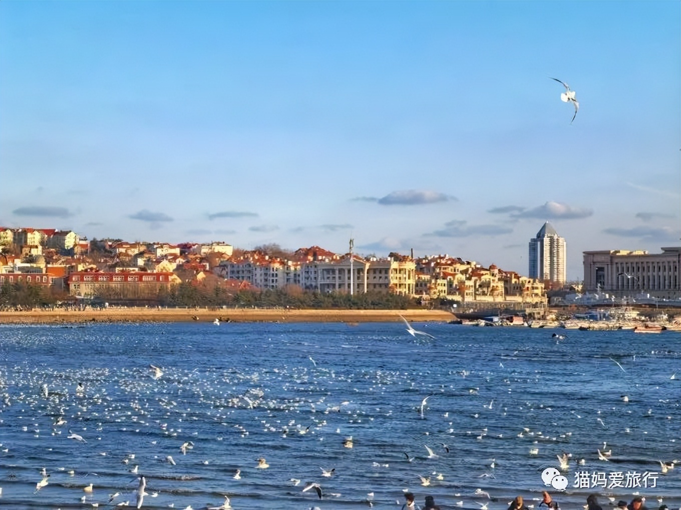 青岛过年遛娃好去处,青岛遛娃圣地