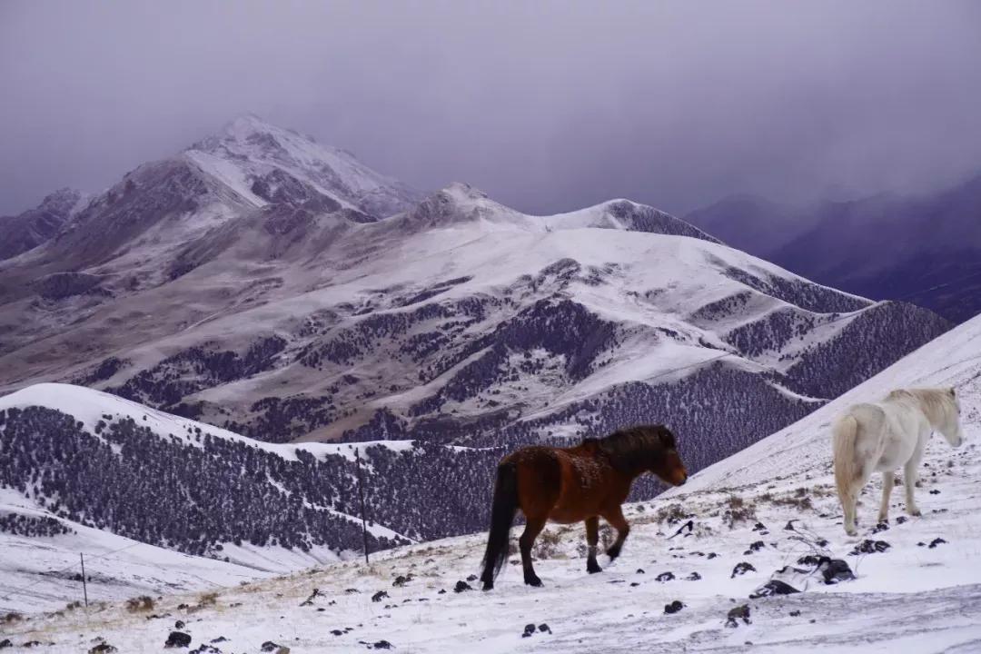 兰州大学人文地理,兰州大学荒漠