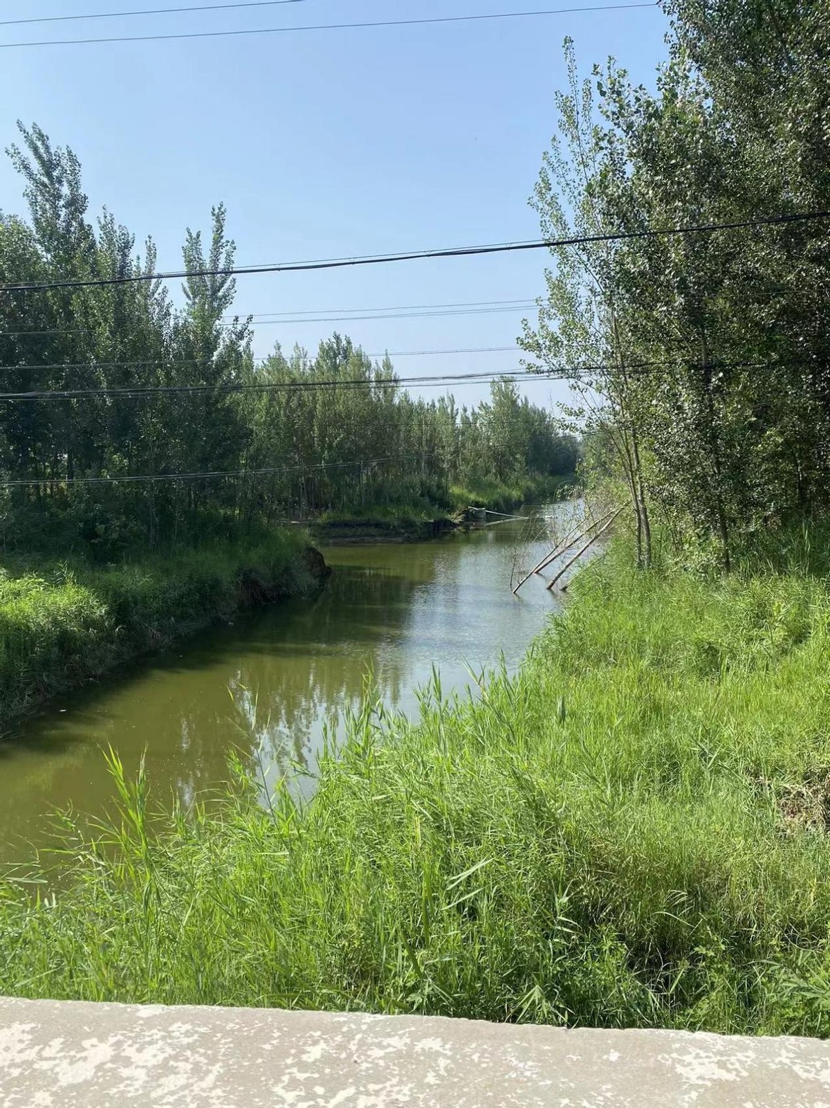 女人误入传销骗局,女大学生轻信网友误入传销窝点