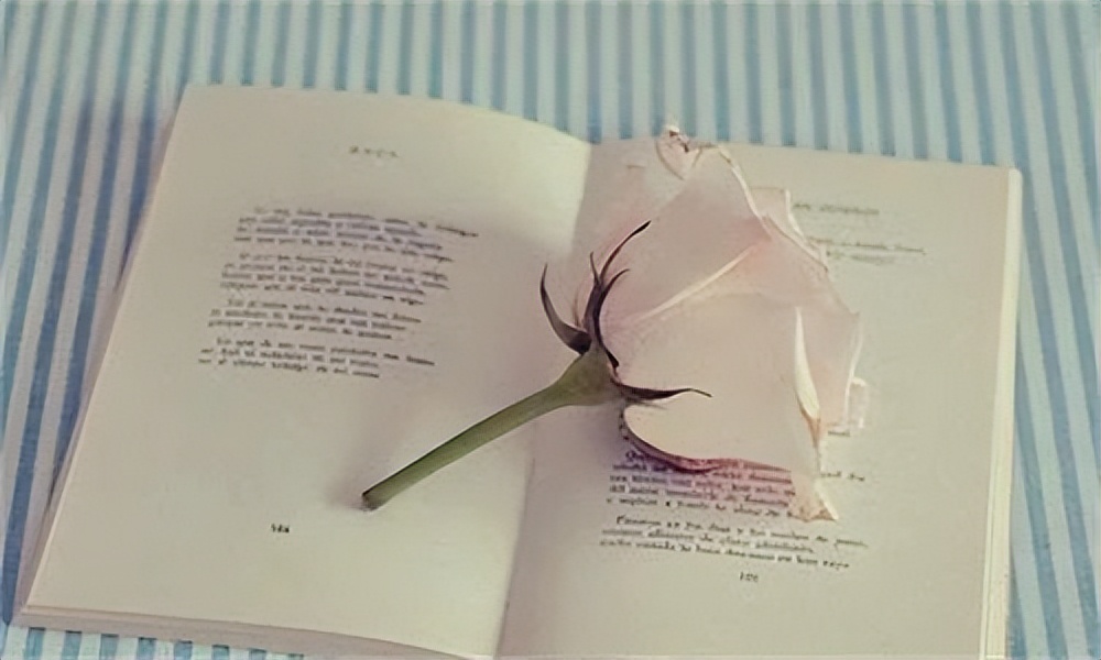 初二英语学不好怎么办,初二英语不及格怎么补救