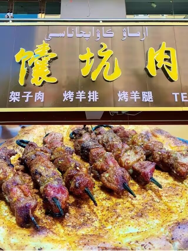 梦想之旅遭遇多重困境！我的狗子和我为了*疆新**披荆斩棘