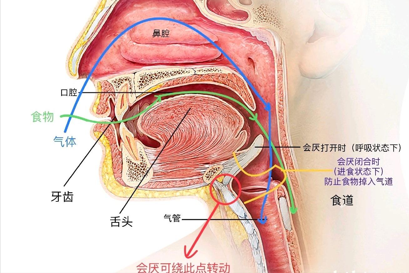 人类到底是原住民还是外星移民,人类是不是星际移民