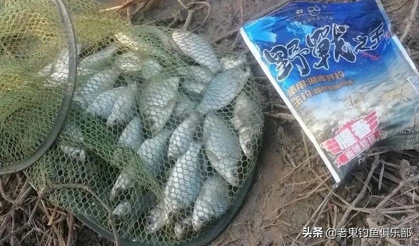 老鬼战野腥香,全能腥香加战野散炮