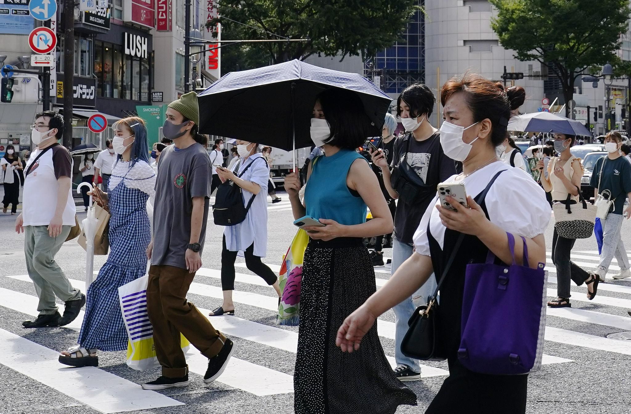 尼康索尼佳能拍照对比图,数码相机索尼和佳能哪个好