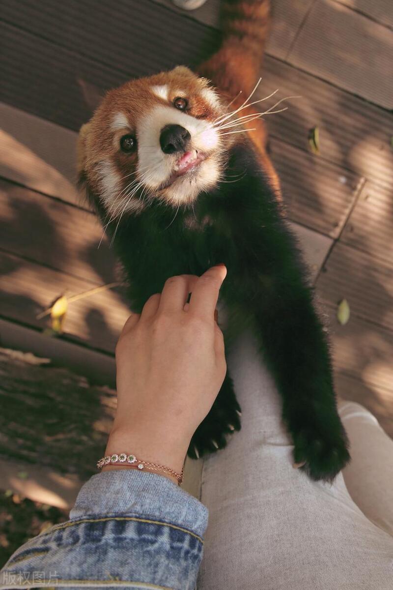 夏季旅游推荐3-4天游,夏天旅游攻略国内推荐3到4天