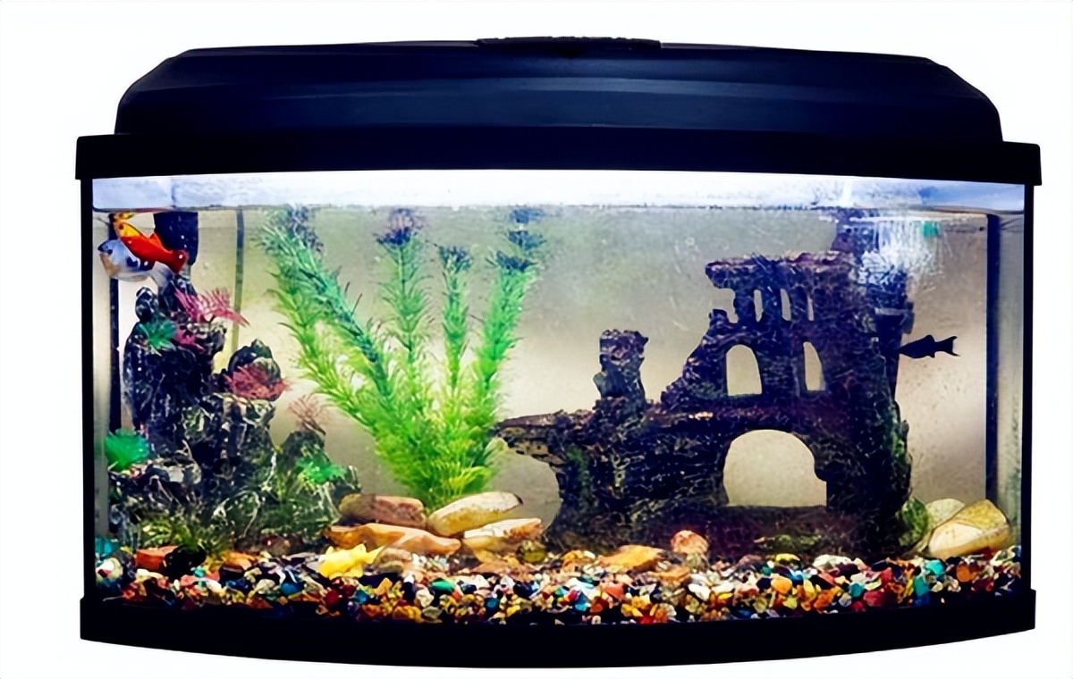 七种东西送了人财两空,为何说东西有七不送送了人财两空