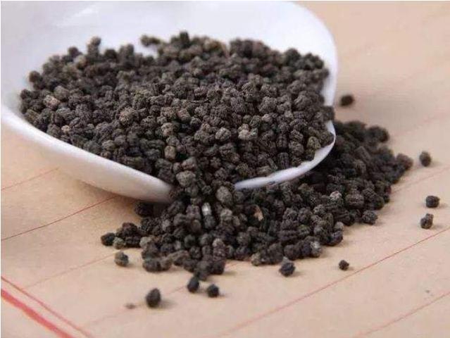 粪便入药到底是愚昧还是科学,中医粪便入药原理