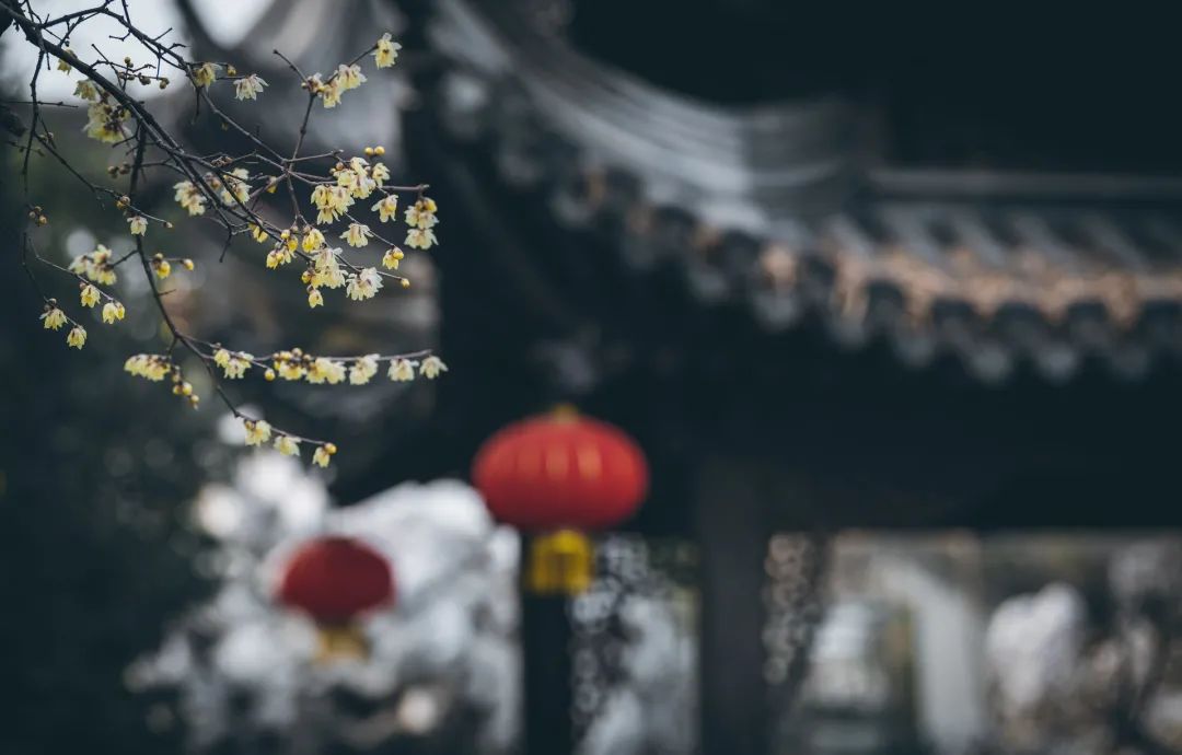 国学名著140句金言值得永久收藏,30部国学名著300句金言