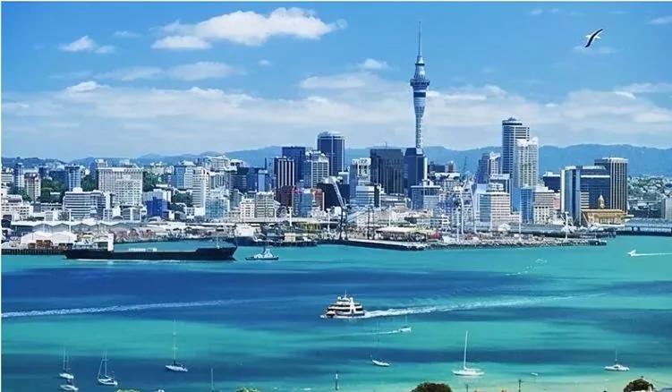 深度了解新西兰,真实的新西兰你了解多少