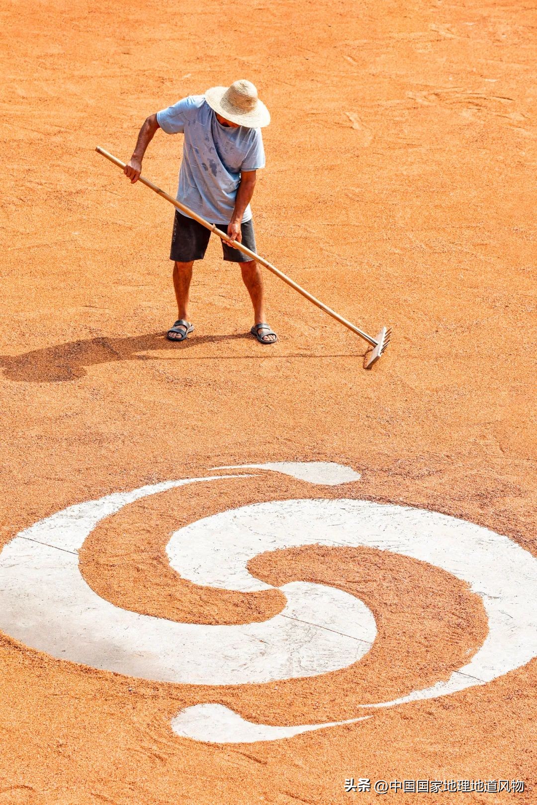 红高粱里的酒为什么是红的,红高粱里酒怎么是红的